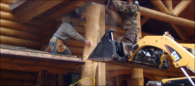 Log Home Log Replacement  Cleburne County, Alabama
