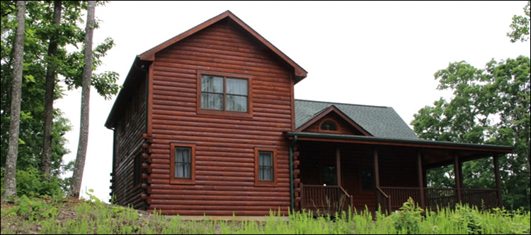 Professional Log Home Borate Application  Cleburne County, Alabama